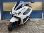Honda Pcx 2026