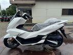 Honda Pcx160 2026