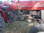 Massey ferguson 135 2021