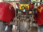 Massey ferguson Other model 2010